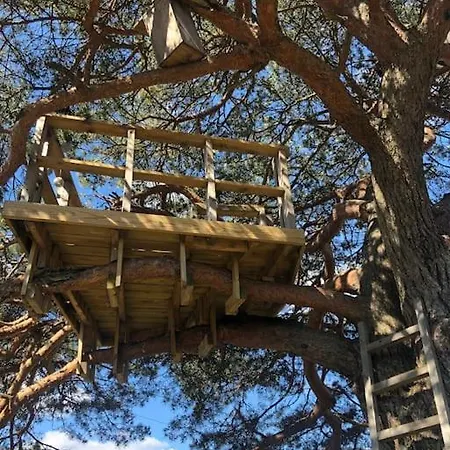 Villa Stor Enebolig Med Flott Hage Og Sommerstue