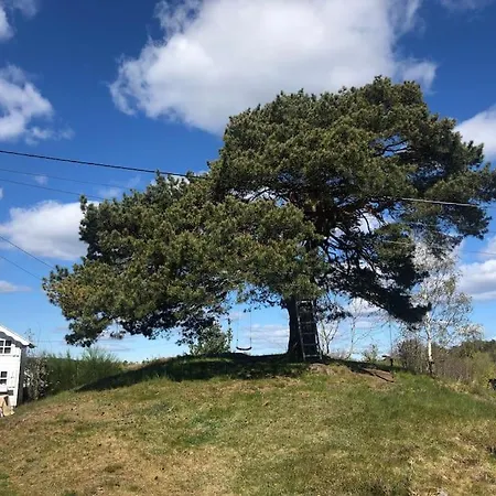 Stor Enebolig Med Flott Hage Og Sommerstue Skarpnes